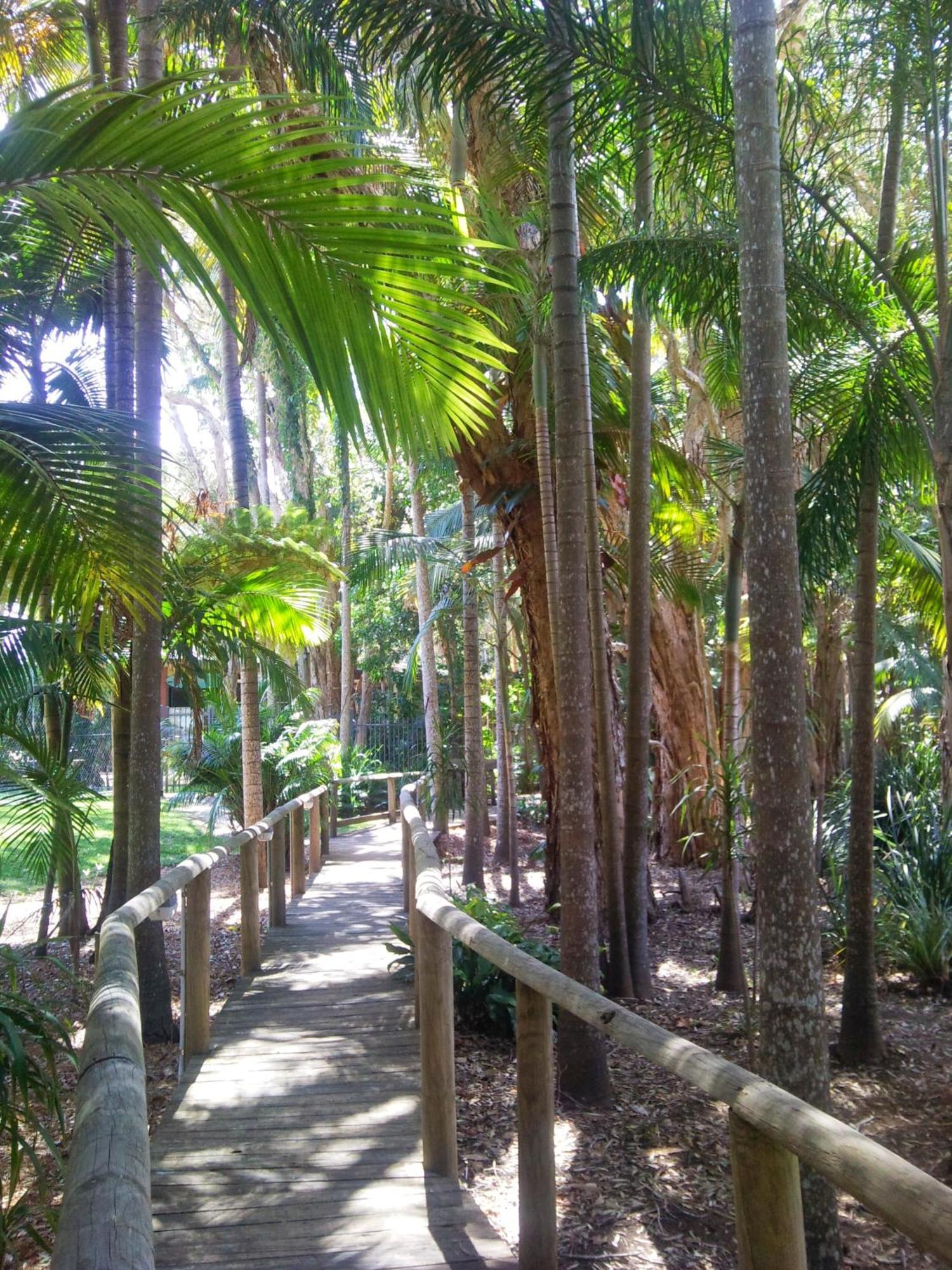 Beach Resort Apartment Port Macquarie Exterior foto
